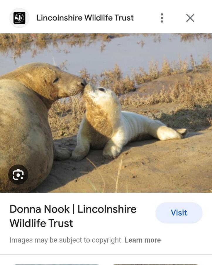 The Annex Theddlethorpe Lincolnshire Villa Luaran gambar